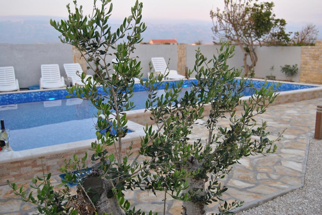 Appartement House With Swimming Pool Blue Diamond à Povljana Extérieur photo